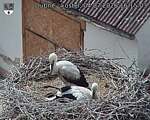 Capi_Dubne_20260704_161503.jpg