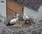 Capi_Dubne_20260704_162502.jpg