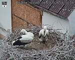 Capi_Dubne_20260704_163004.jpg