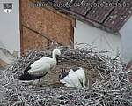 Capi_Dubne_20260704_163504.jpg