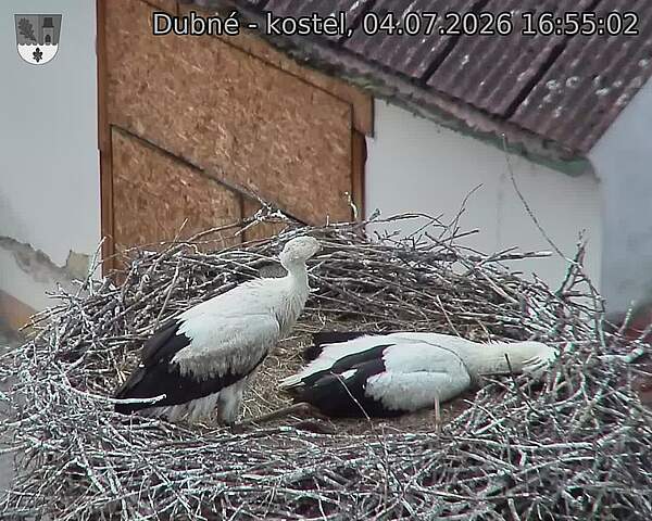 preload
