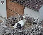 Capi_Dubne_20260704_173004.jpg