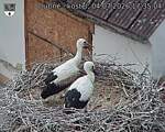 Capi_Dubne_20260704_173504.jpg