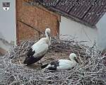 Capi_Dubne_20260704_174504.jpg