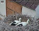 Capi_Dubne_20260704_175502.jpg