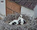Capi_Dubne_20260704_181004.jpg