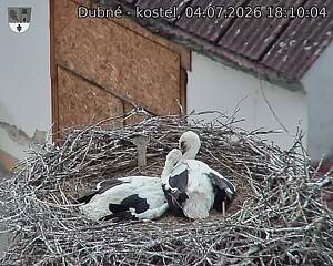 preload