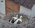 Capi_Dubne_20260704_183503.jpg
