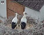 Capi_Dubne_20260704_184004.jpg
