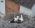 Capi_Dubne_20260704_191502.jpg