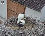 Capi_Dubne_20260704_192002.jpg