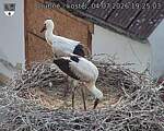 Capi_Dubne_20260704_192503.jpg