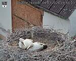 Capi_Dubne_20260704_194003.jpg