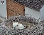 Capi_Dubne_20260704_194503.jpg