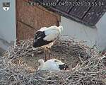 Capi_Dubne_20260704_195504.jpg