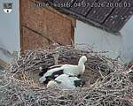 Capi_Dubne_20260704_200003.jpg
