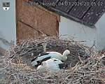 Capi_Dubne_20260704_200502.jpg