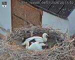 Capi_Dubne_20260704_201502.jpg
