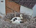 Capi_Dubne_20260704_202503.jpg
