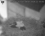 Capi_Dubne_20260704_215502.jpg