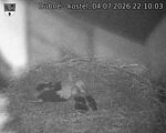 Capi_Dubne_20260704_221003.jpg