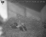 Capi_Dubne_20260704_222502.jpg