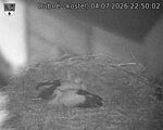 Capi_Dubne_20260704_225002.jpg