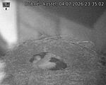 Capi_Dubne_20260704_233502.jpg