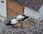 Capi_Dubne_20260705_060003.jpg