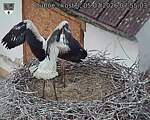 Capi_Dubne_20260705_075503.jpg