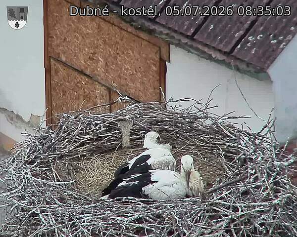 preload