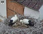 Capi_Dubne_20260705_085503.jpg