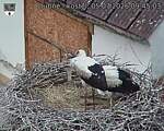 Capi_Dubne_20260705_094503.jpg
