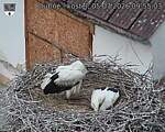 Capi_Dubne_20260705_095503.jpg