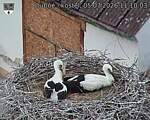 Capi_Dubne_20260705_111003.jpg
