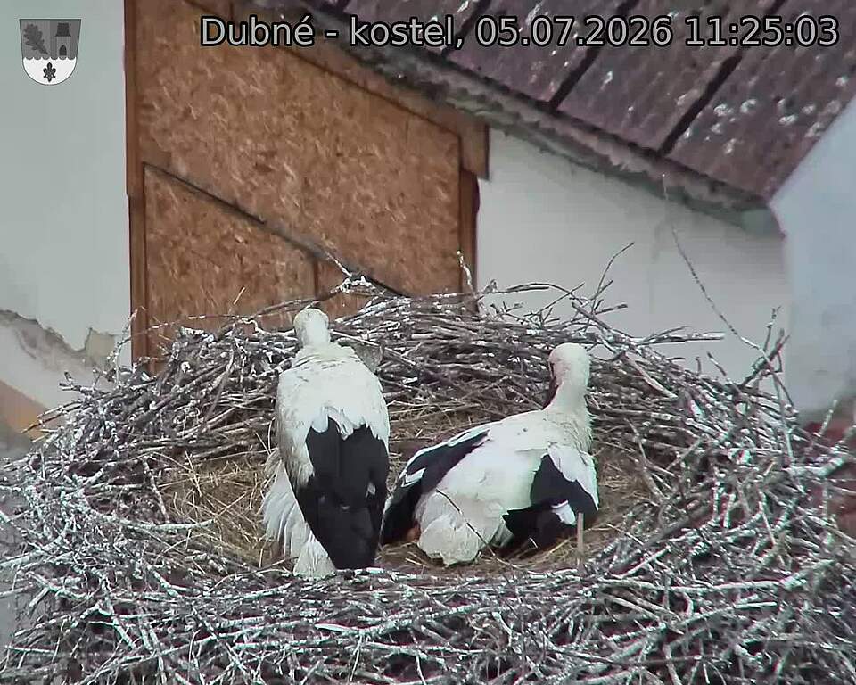 preload
