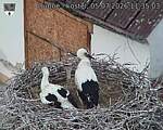 Capi_Dubne_20260705_113503.jpg