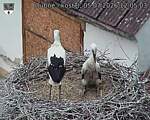 Capi_Dubne_20260705_120503.jpg