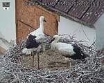 Capi_Dubne_20260705_121502.jpg