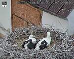 Capi_Dubne_20260705_124003.jpg