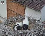 Capi_Dubne_20260705_124503.jpg