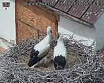 Capi_Dubne_20260705_125003.jpg