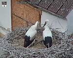 Capi_Dubne_20260705_134003.jpg