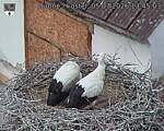 Capi_Dubne_20260705_134503.jpg
