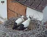 Capi_Dubne_20260705_135003.jpg
