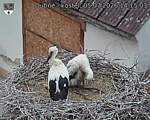 Capi_Dubne_20260705_141503.jpg