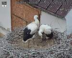 Capi_Dubne_20260705_143503.jpg