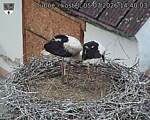 Capi_Dubne_20260705_144003.jpg