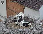 Capi_Dubne_20260705_144503.jpg