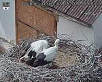 Capi_Dubne_20260705_152003.jpg